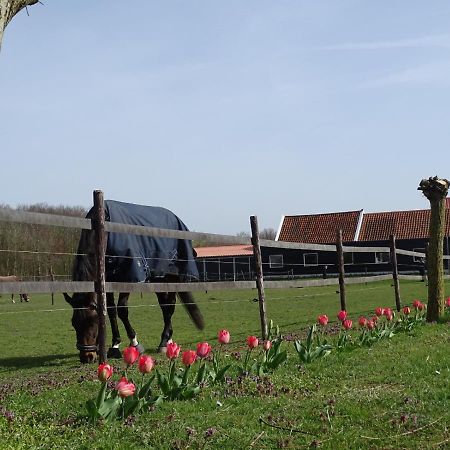 Noordgouwe De Tulp B&B 외부 사진