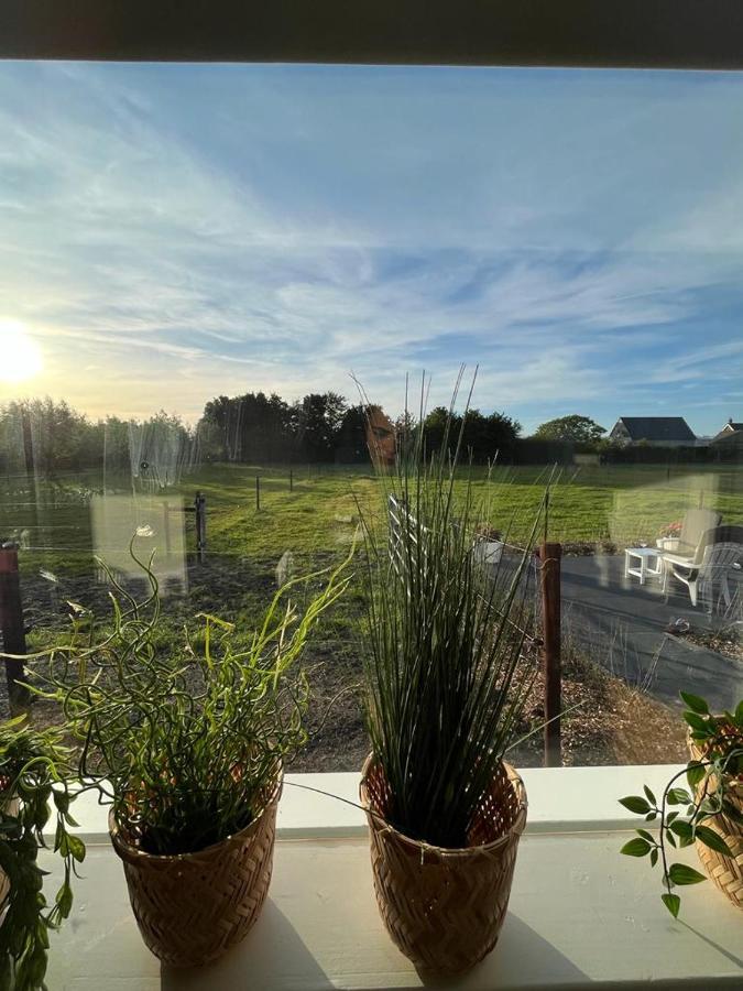 Noordgouwe De Tulp B&B 외부 사진