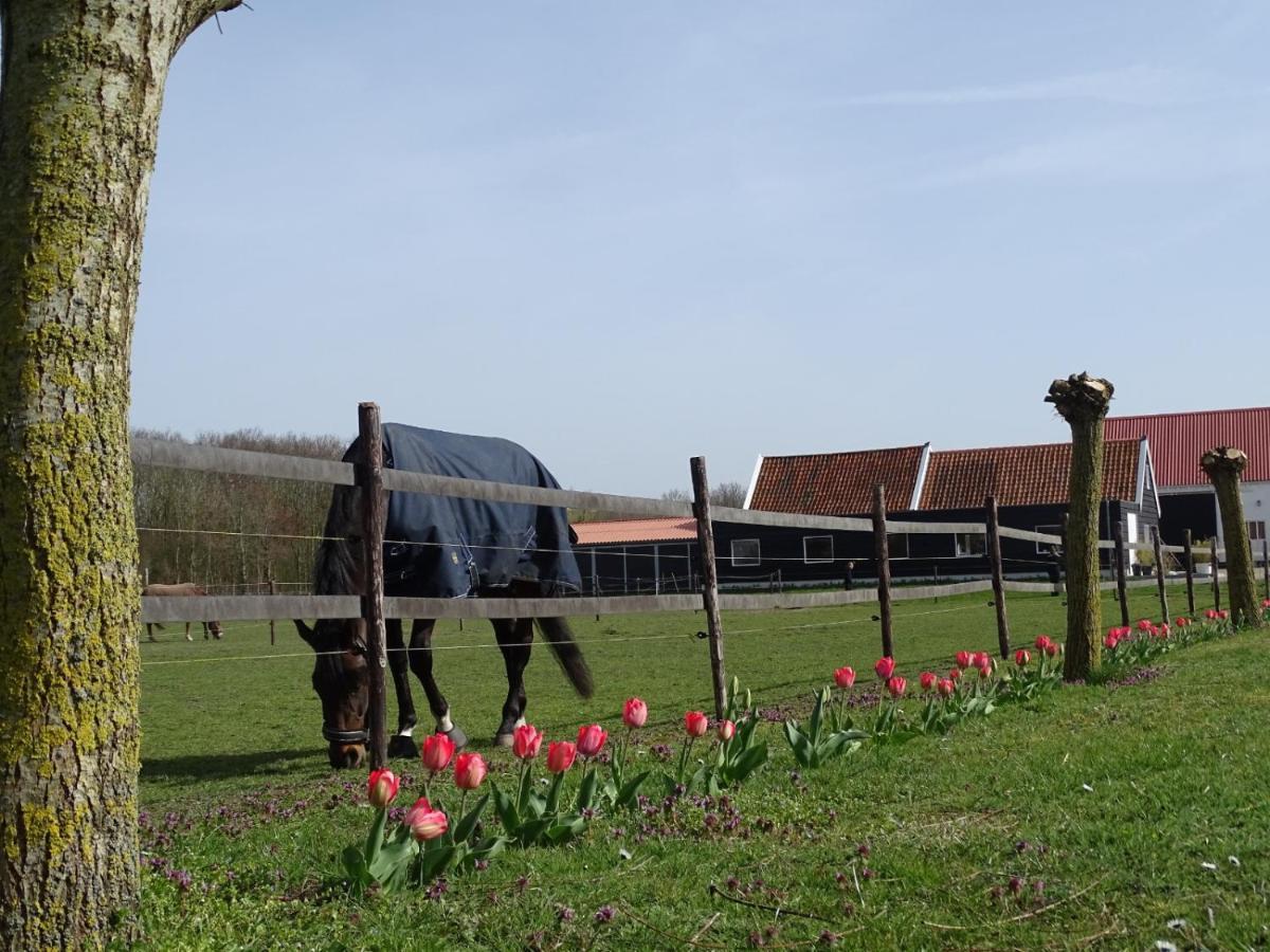 Noordgouwe De Tulp B&B 외부 사진