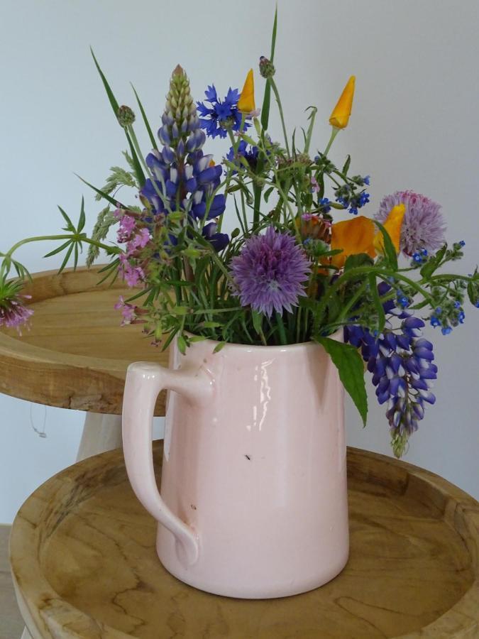Noordgouwe De Tulp B&B 외부 사진