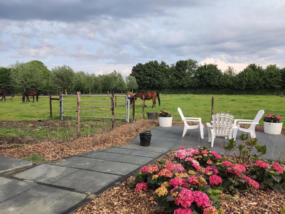 Noordgouwe De Tulp B&B 외부 사진