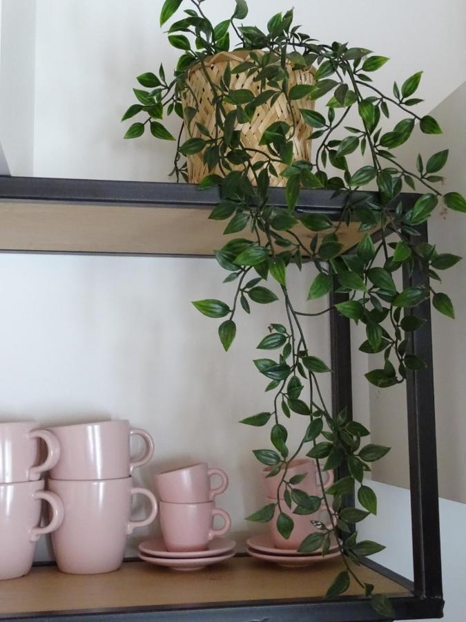 Noordgouwe De Tulp B&B 외부 사진