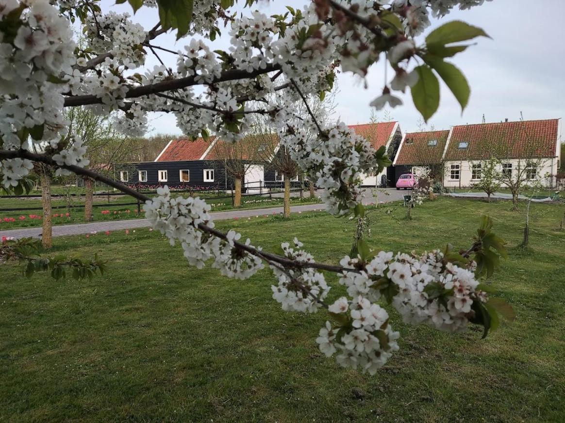 Noordgouwe De Tulp B&B 외부 사진